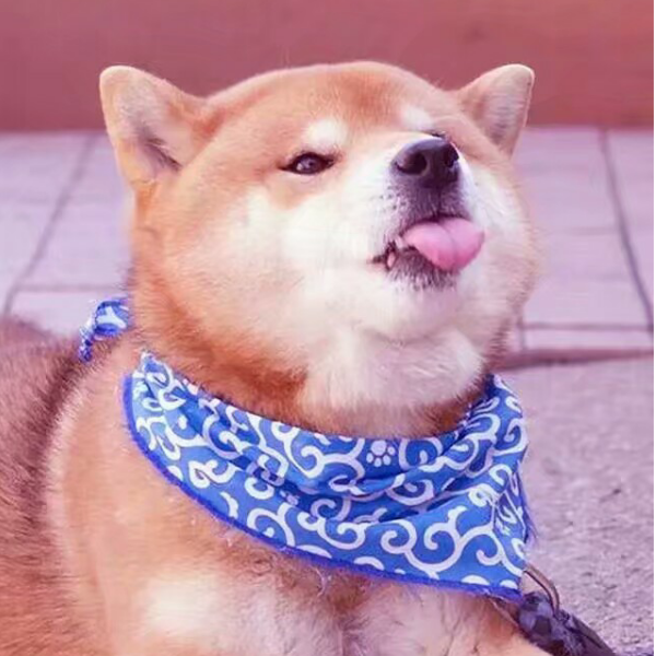 大哥大嫂过年好
