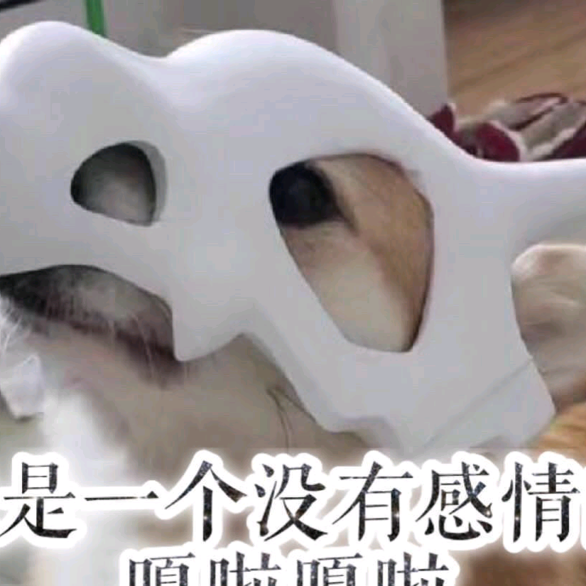豆子玩家