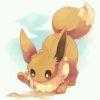 Evoli°