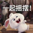 User41279245