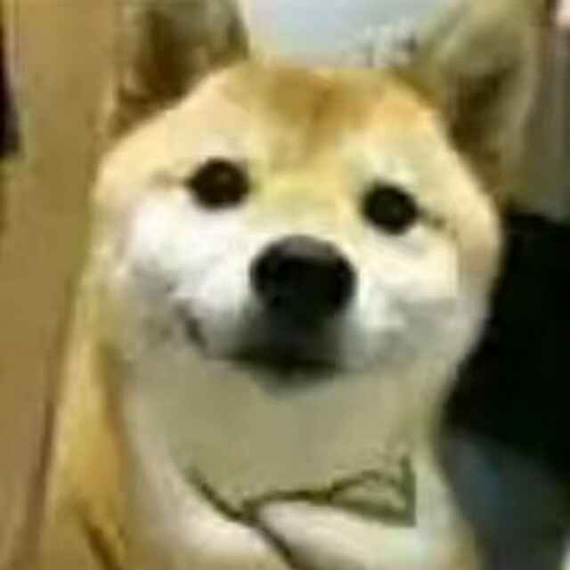 跟屁虫