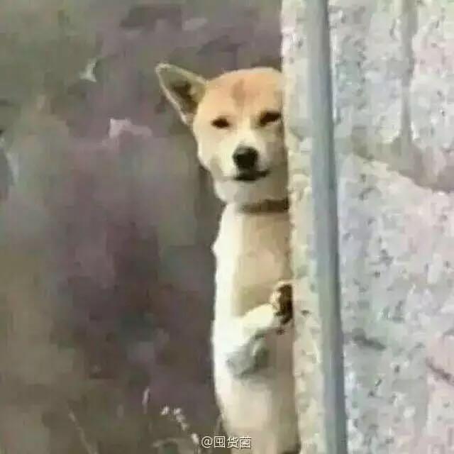 伟