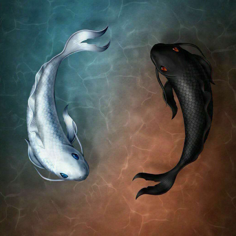 (ᵒ̤̑ ◁ ᵒ̤̑)wow!