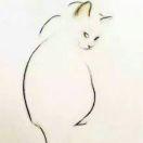 罗子