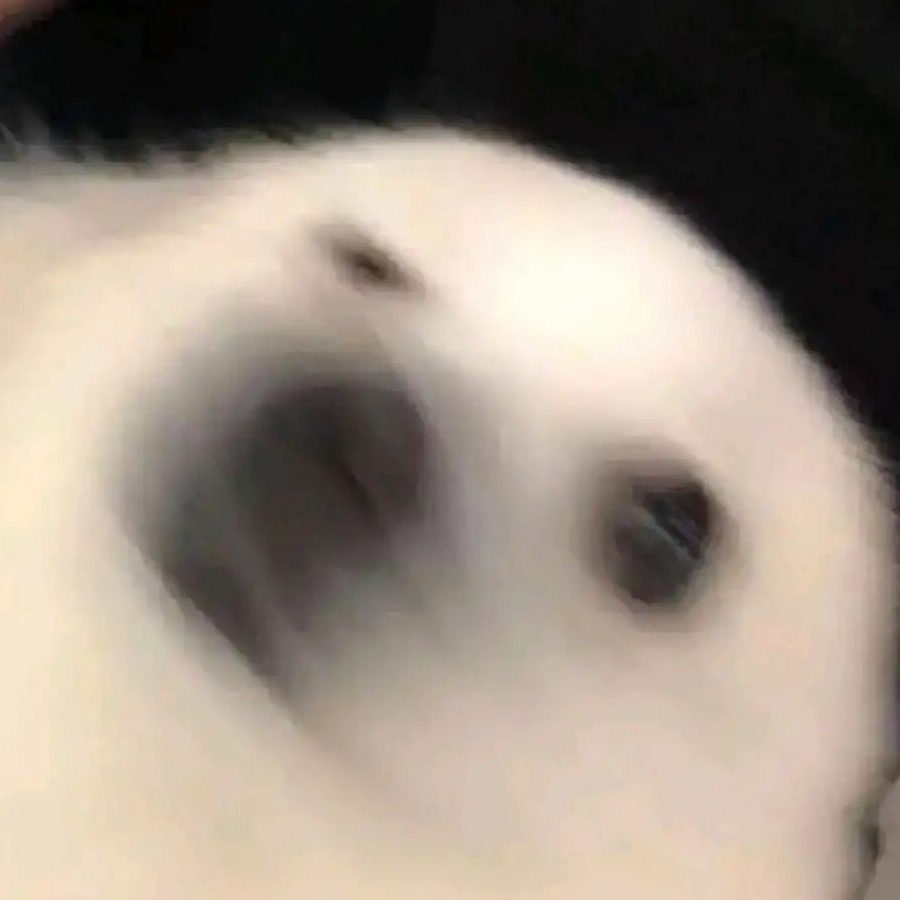 野木