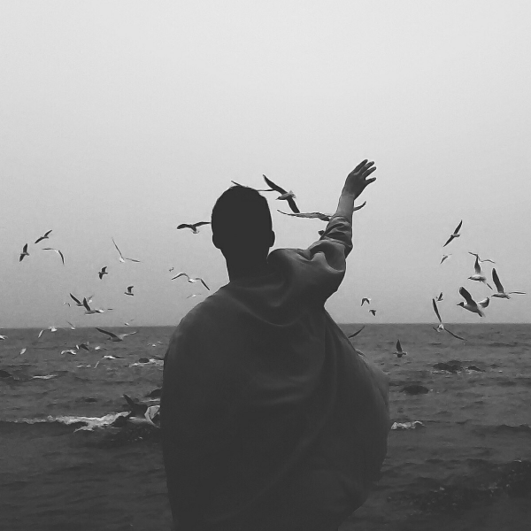 孤独的诗和远方