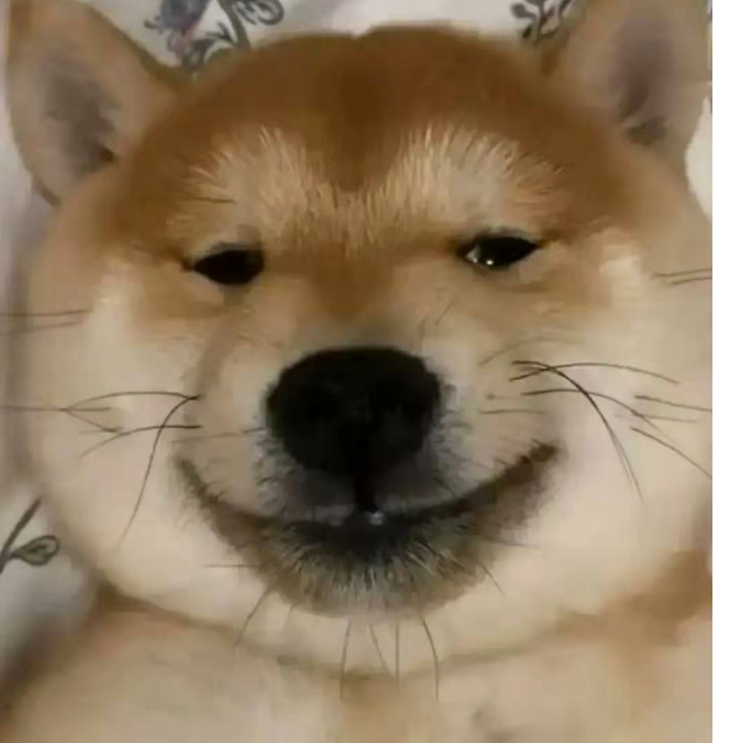 聪大迷糊