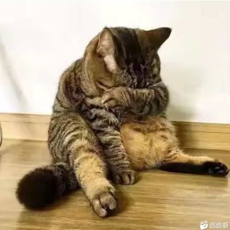 我叫。。李哪吒