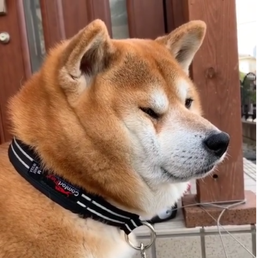 完力