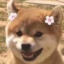 你猜我谁