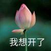 十六夜酒