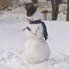雪人⛄️