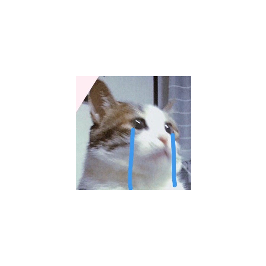 小窗帘