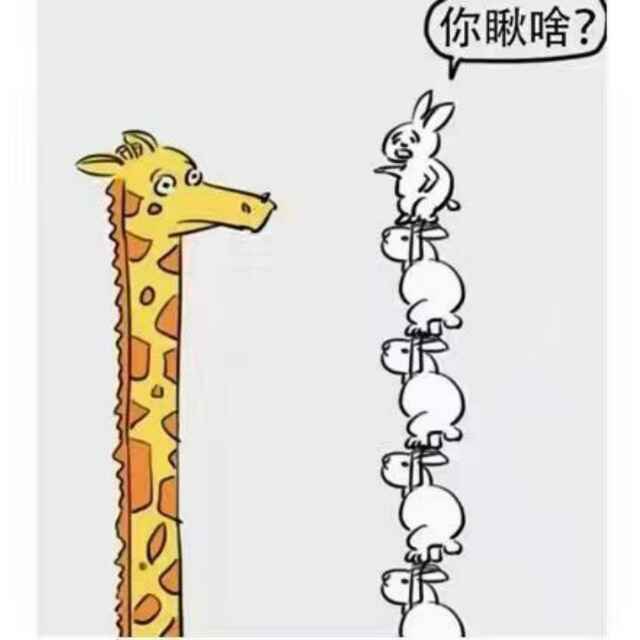H丶