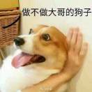 没想好啥名