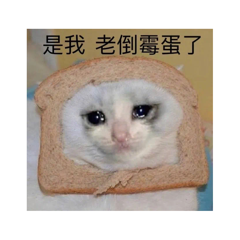 能能十项全能