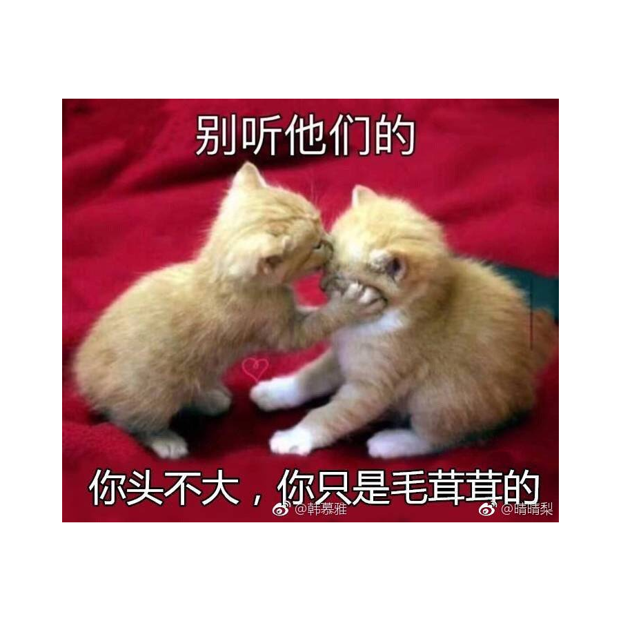 月白