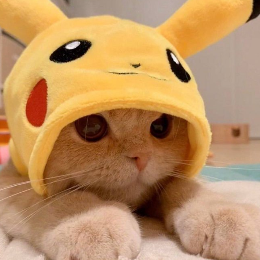 PIKAPIKA