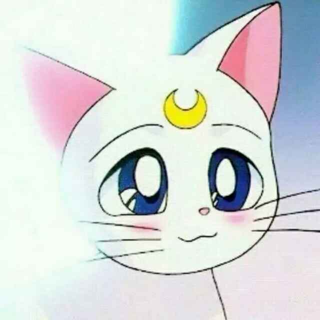 睿