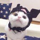 潘潘。