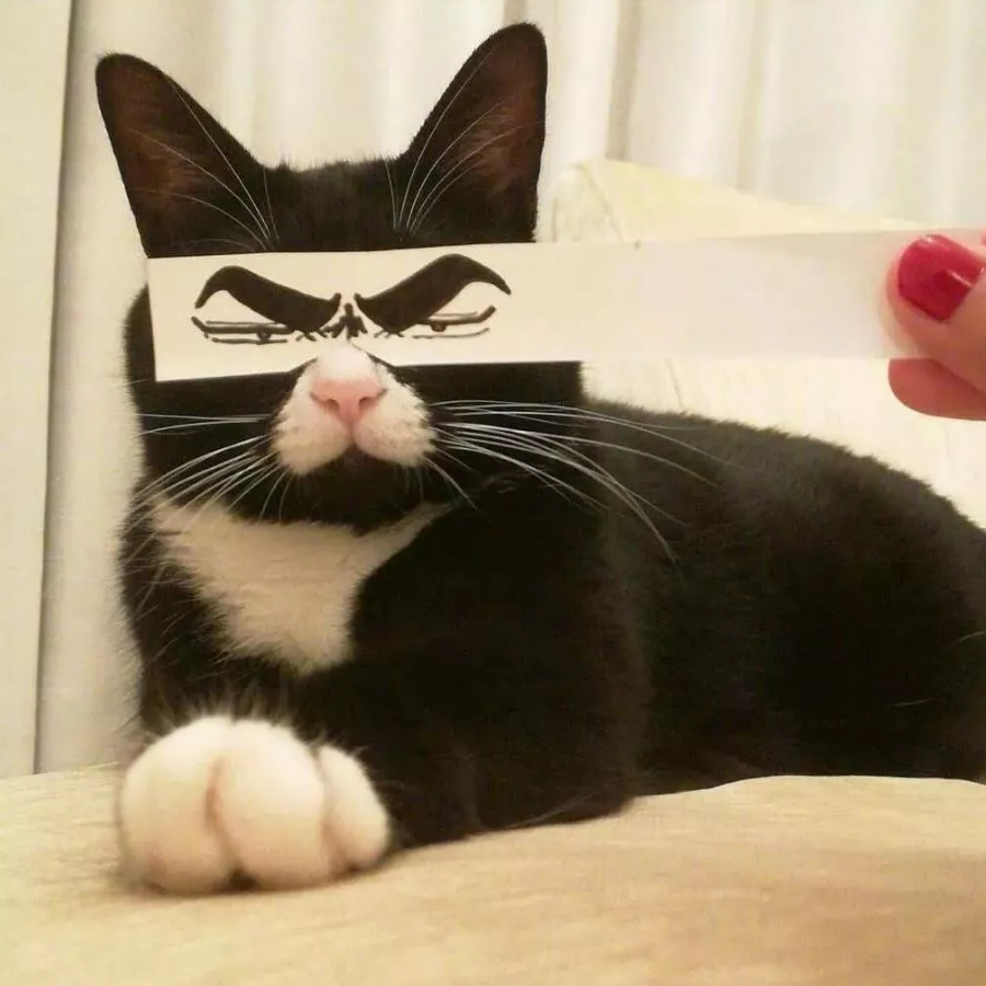 半度微凉