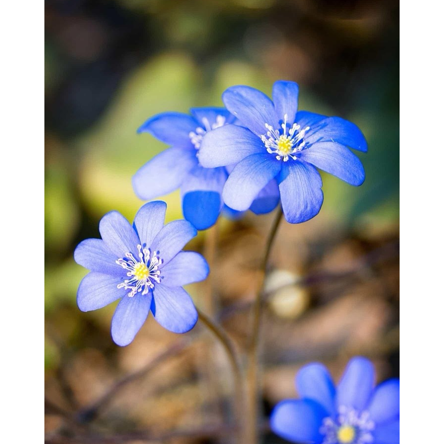 手机用户60602197