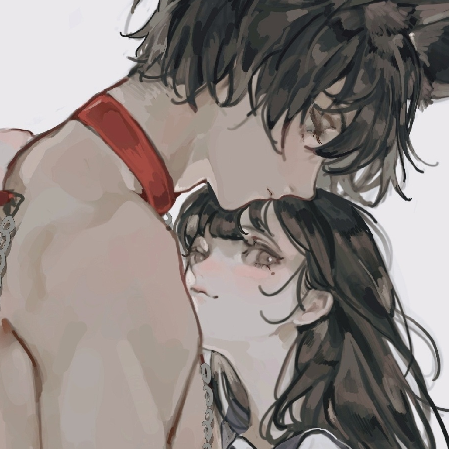盒盒
