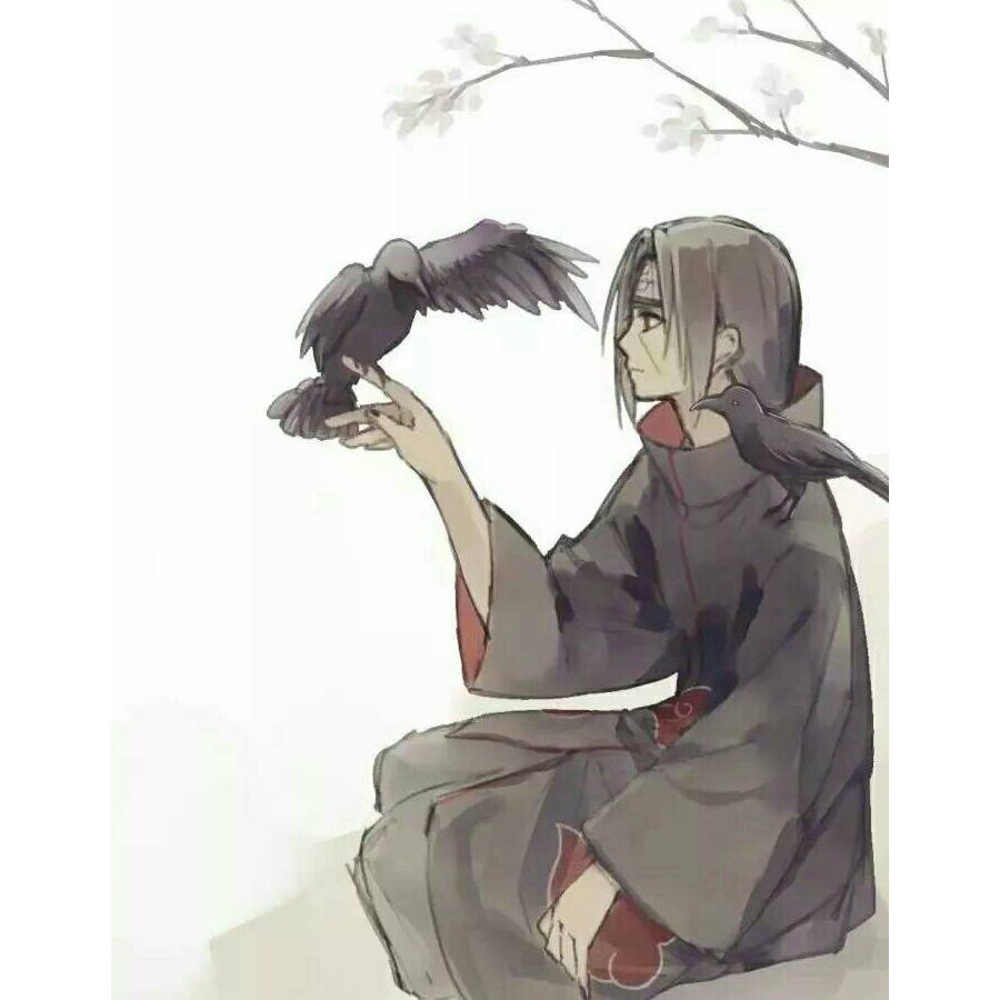 鼬羽