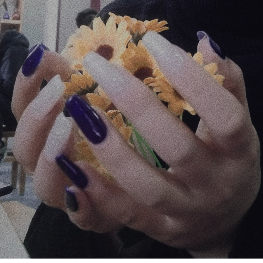 苗苗子