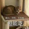 明月清风