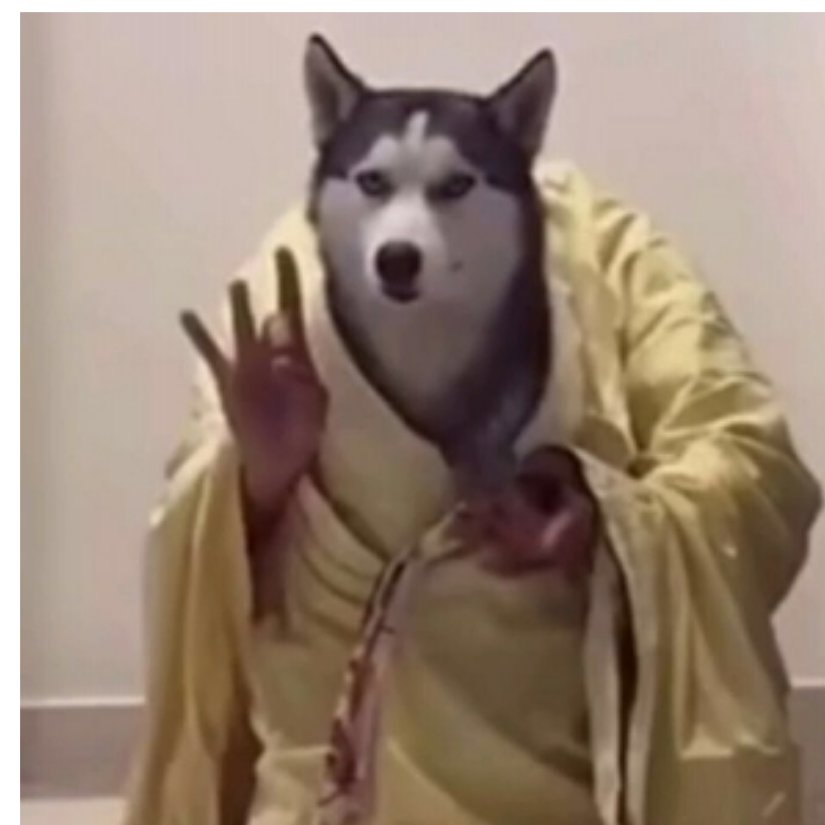 夫中月
