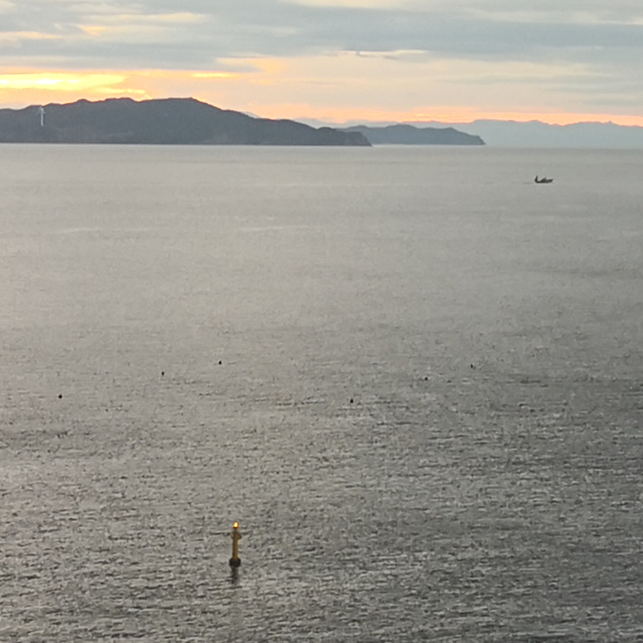 魂海化鹿