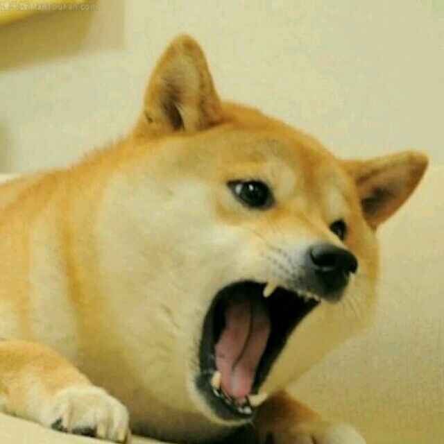 、