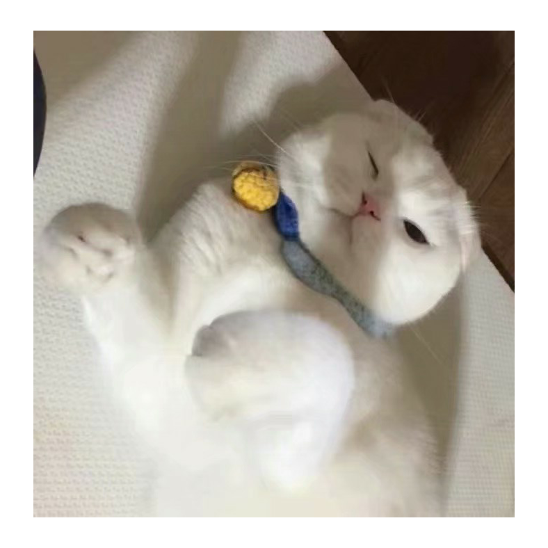 沫夕