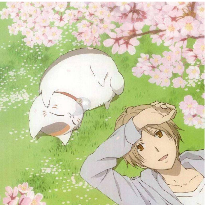 狸猫怪？胖太！