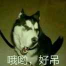 我也不知道叫什么