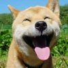 愚者。
