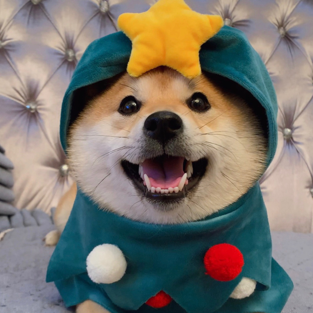 云上