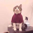 🐰るるいくん🐰