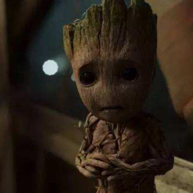 groot