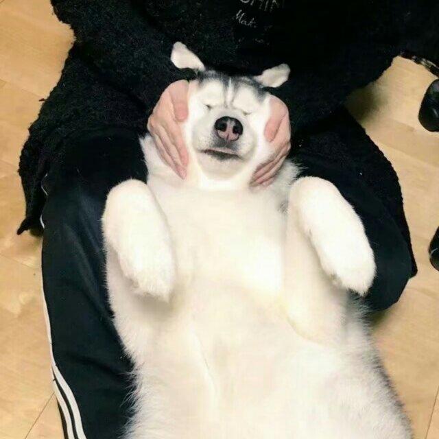 呱