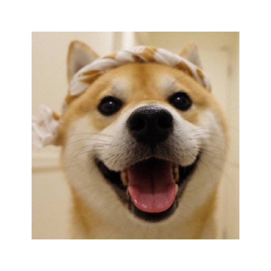 秋梨