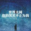 水木年华