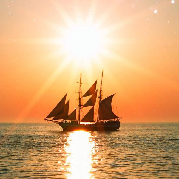 手机用户15737167