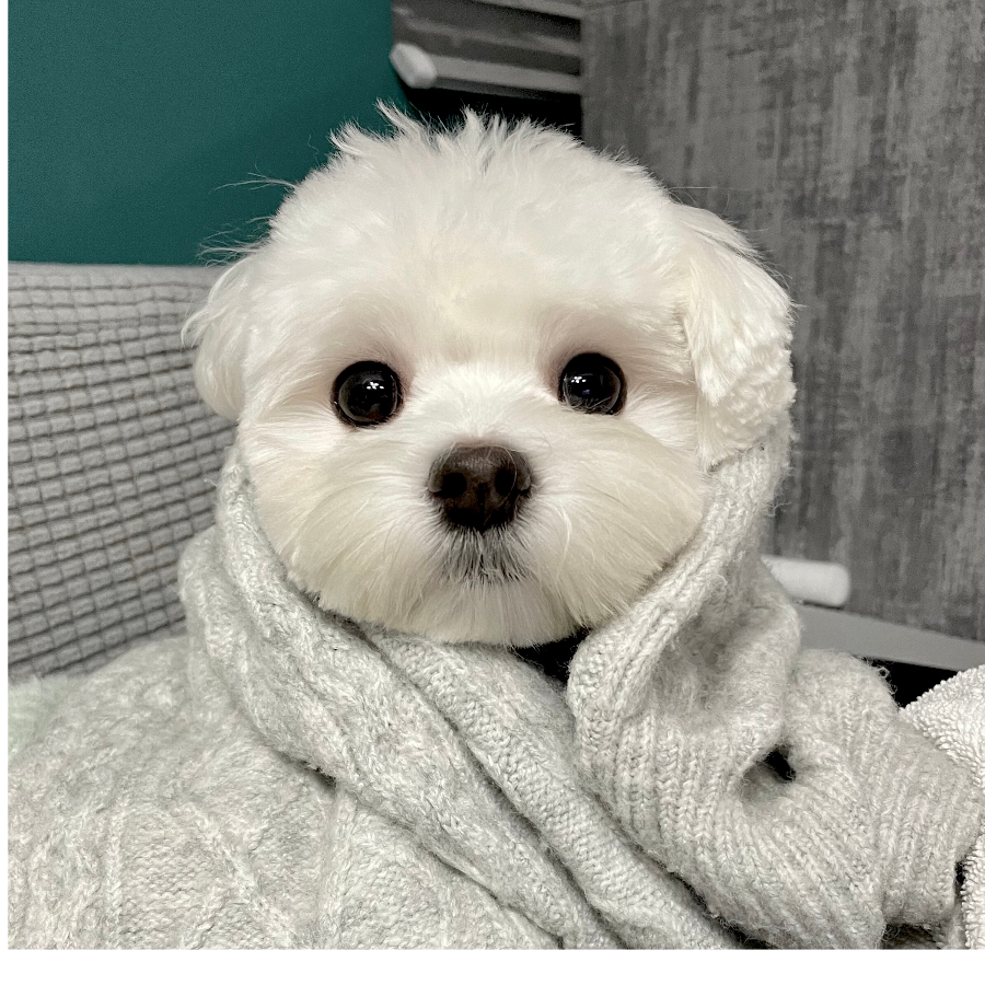 小郭小郭吃多多