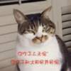 额额