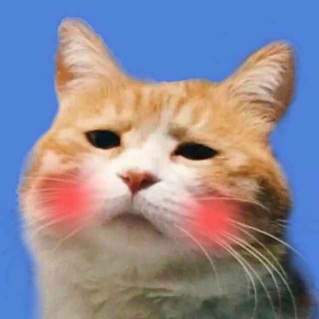 アアアアアアアアアアアアアアア