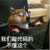 ꧁寒霜꧂