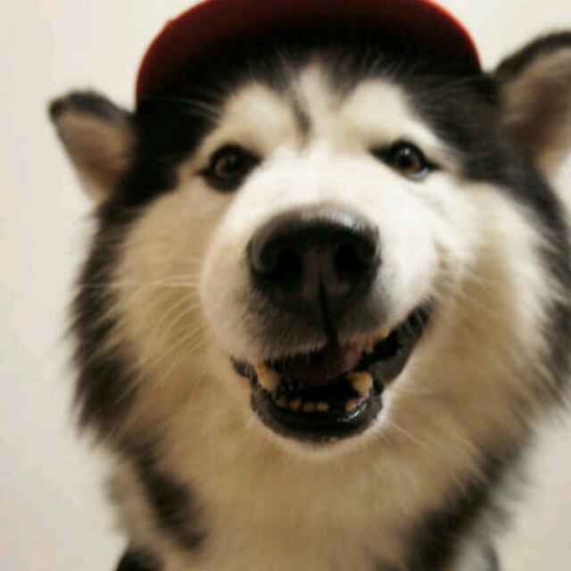 污啦啦啦啦啦
