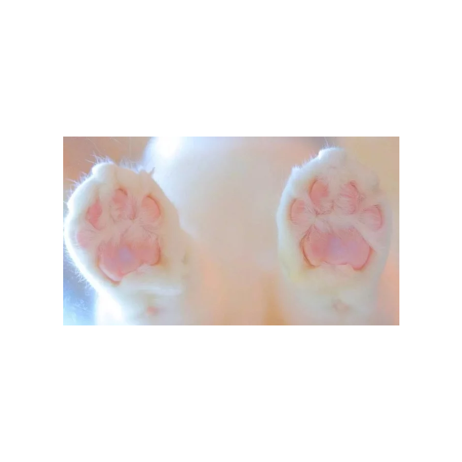 如意
